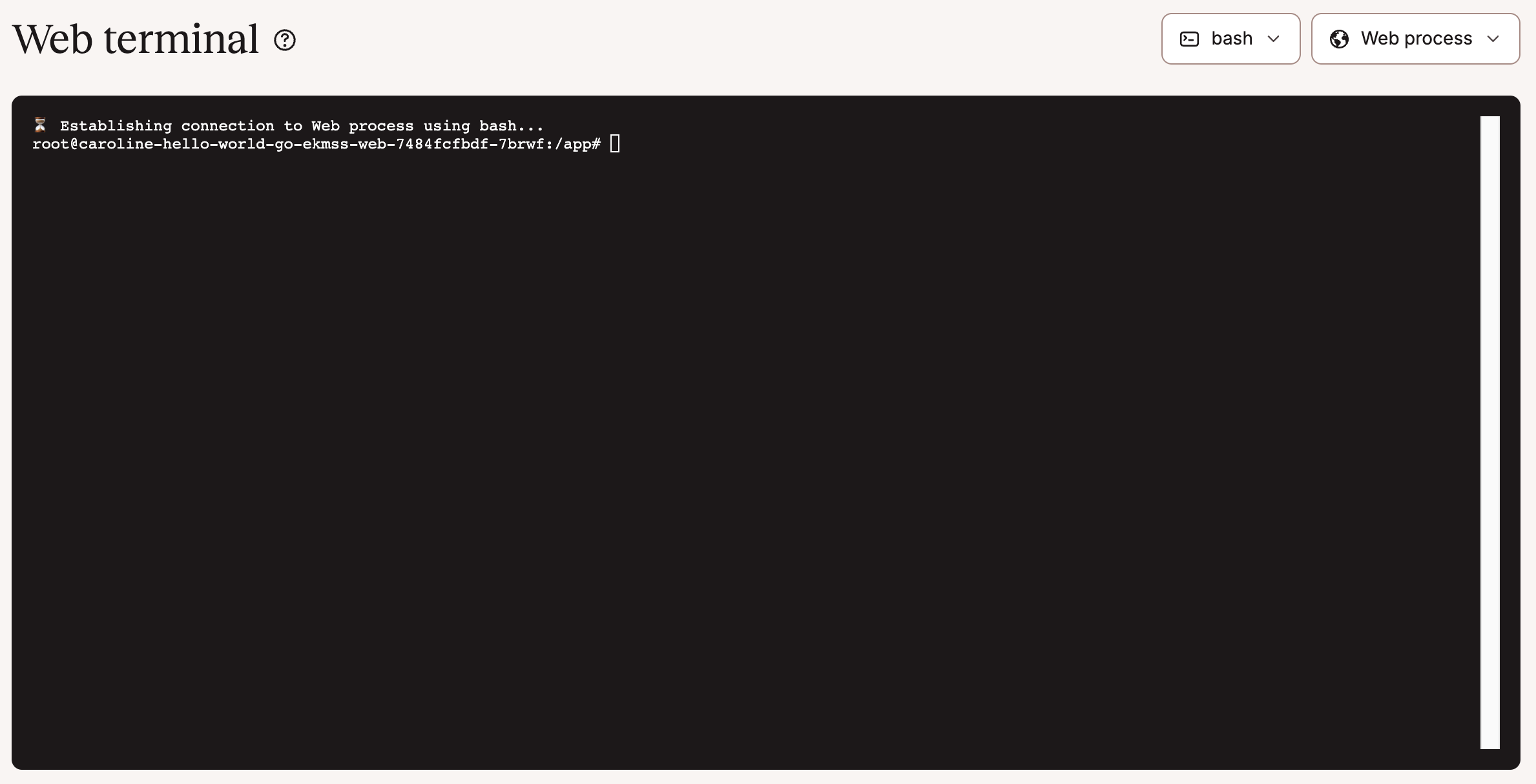 Access the application web terminal.